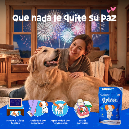 Paquete de Salud 360° para Perros | Waggy's Ultimate Wellness Kit