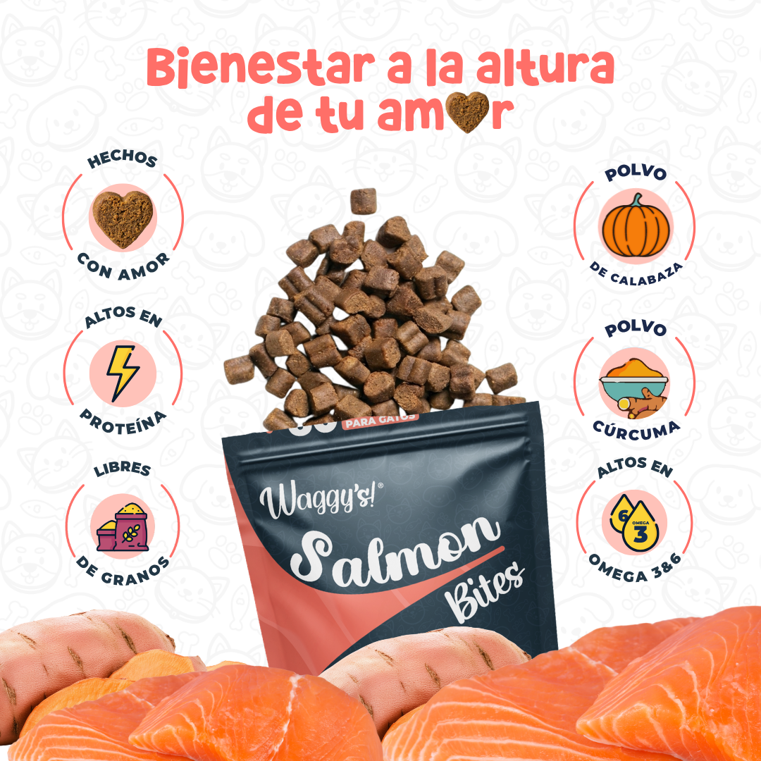 Premios Naturales y Nutritivos para Gatos | Waggy's Bites
