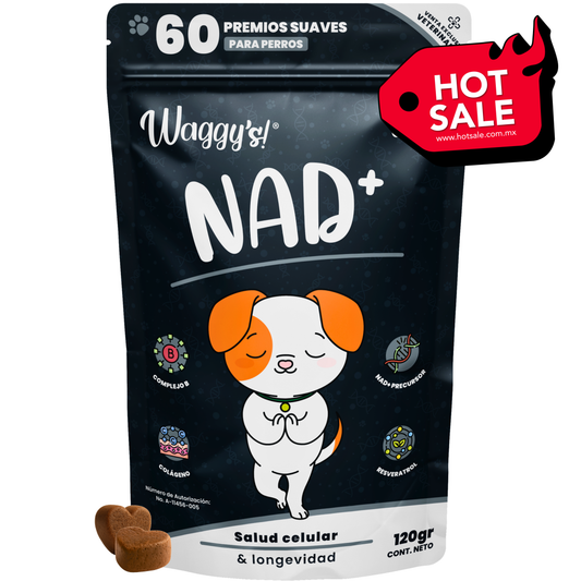 Suplemento Antienvejecimiento y Vitalidad para Perros | Waggy's NAD+