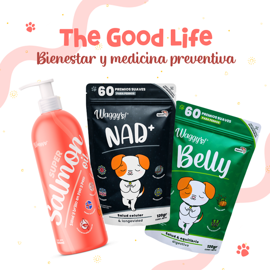 Paquete de Bienestar para Perros | Waggy's Good Life Kit