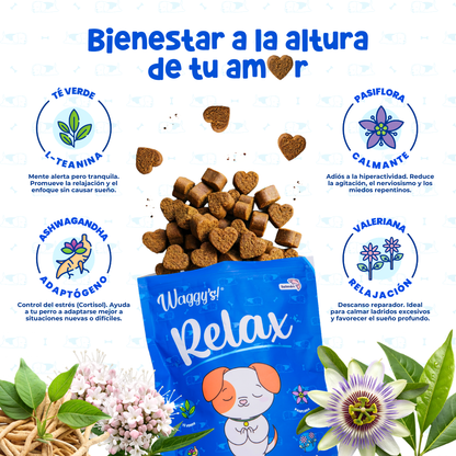 Paquete de Salud 360° para Perros | Waggy's Ultimate Wellness Kit