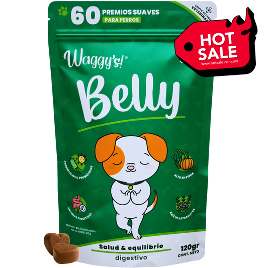 Probióticos para Digestión y Alergias en Perros | Waggy's Belly