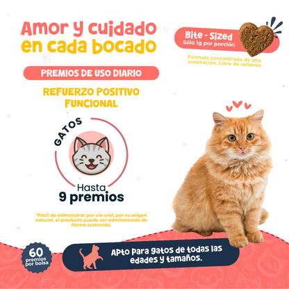 Premios Naturales y Nutritivos para Gatos | Waggy's Bites