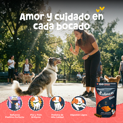 Premios Naturales para Entrenamiento de Perros | Waggy's Bites