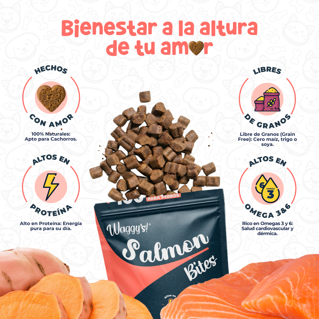 Premios Naturales para Entrenamiento de Perros | Waggy's Bites