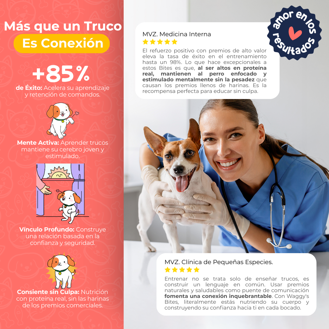 Premios Naturales para Entrenamiento de Perros | Waggy's Bites