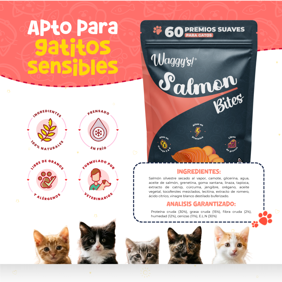 Premios Naturales y Nutritivos para Gatos | Waggy's Bites