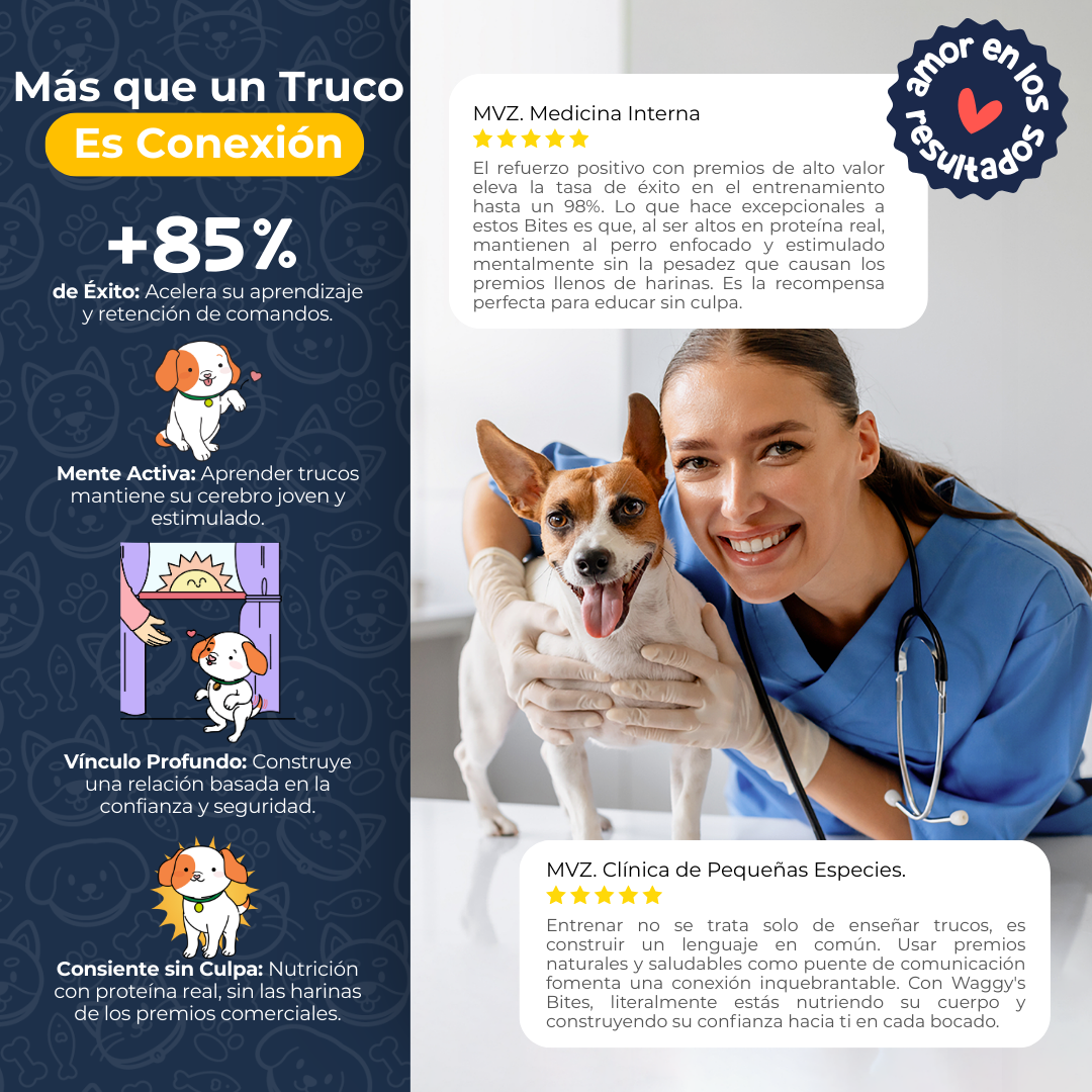 Premios Naturales para Entrenamiento de Perros | Waggy's Bites