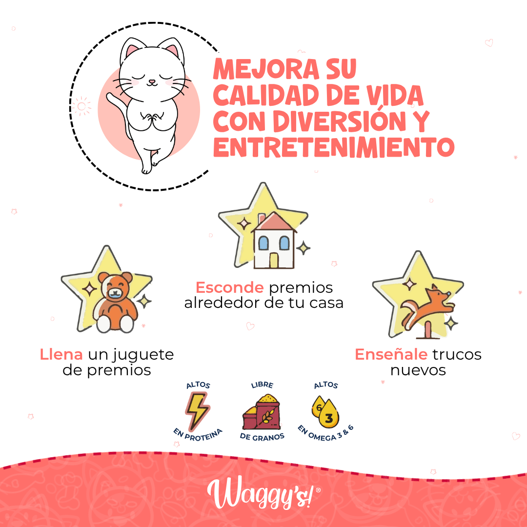 Premios Naturales y Nutritivos para Gatos | Waggy's Bites
