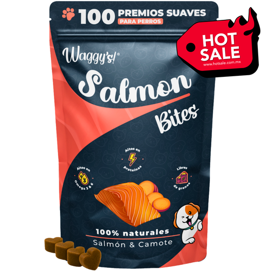 Premios Naturales para Entrenamiento de Perros | Waggy's Bites