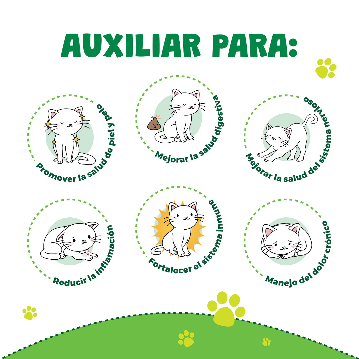 Waggy's® Wellness Gatos