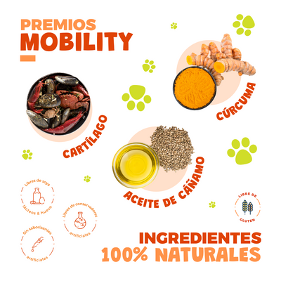Waggy's® Mobility Gatos
