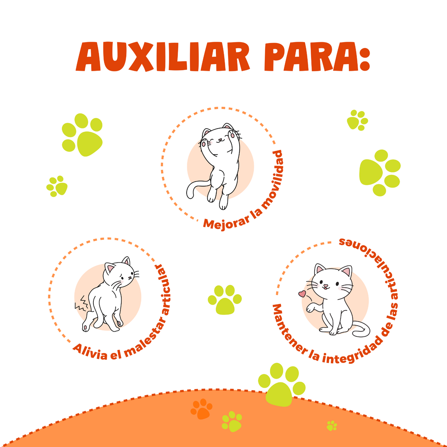 Waggy's® Mobility Gatos