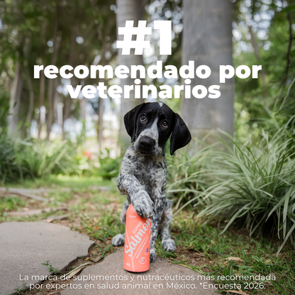 Salmón Silvestre con Omegas para Perros | Waggy's Super Salmon Oil