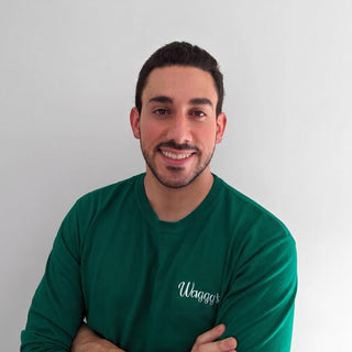 Andrés Arroyo Olson
