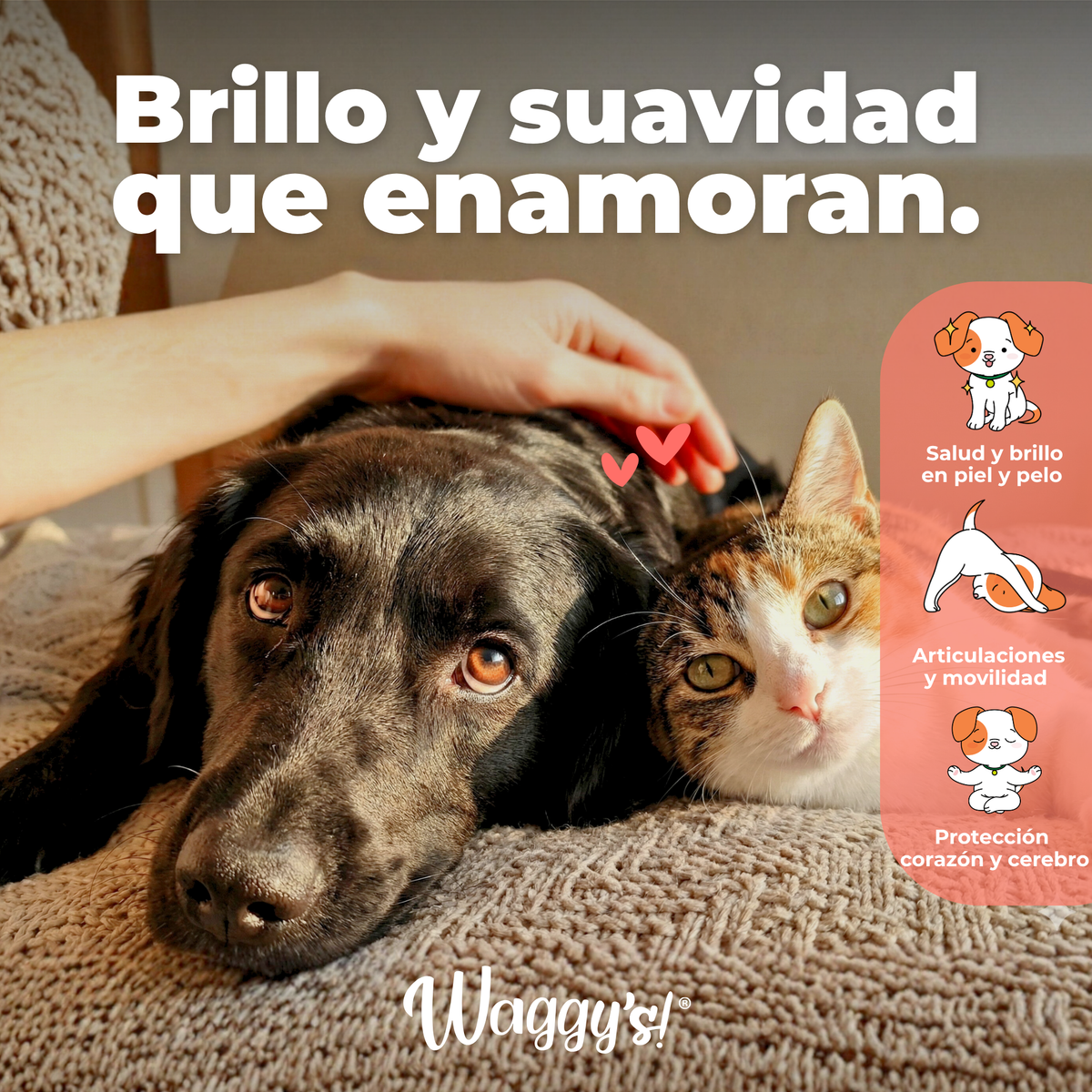 Salmón Silvestre con Omegas para Perros | Waggy's Super Salmon Oil