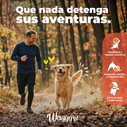 Suplemento Articular para Movilidad y Dolor en Perros | Waggy's Move