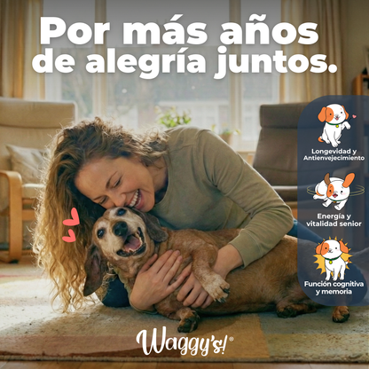 Suplemento Antienvejecimiento y Vitalidad para Perros | Waggy's NAD+