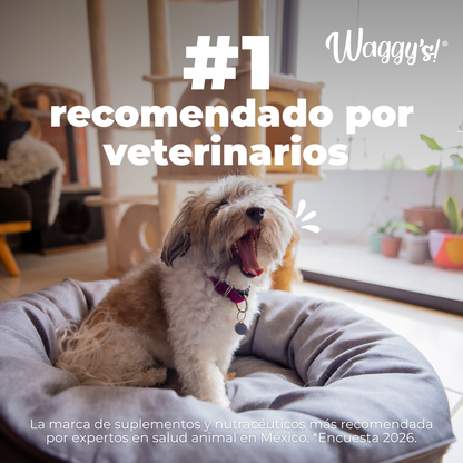 Natural Relaxant for Anxiety and Stress in Dogs | Waggy's Relax