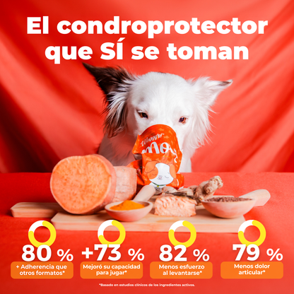 Suplemento Articular para Movilidad y Dolor en Perros | Waggy's Move