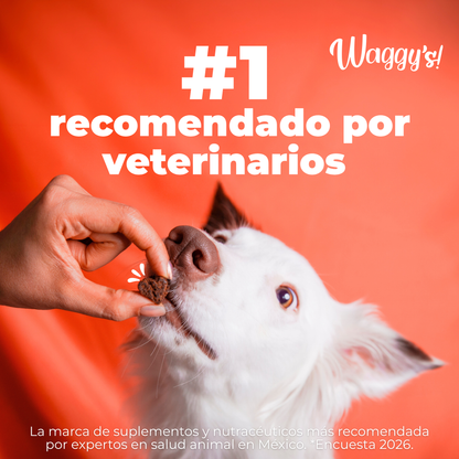Suplemento Articular para Movilidad y Dolor en Perros | Waggy's Move