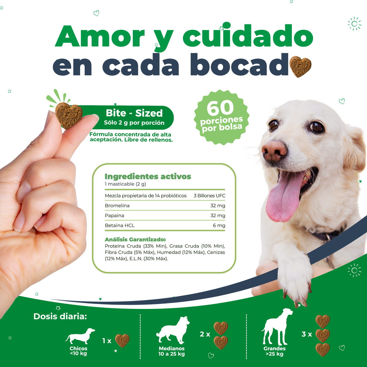 Tabla de dosis diaria e ingredientes activos de Waggy's Belly, destacando su mezcla de 14 probióticos y enzimas digestivas.