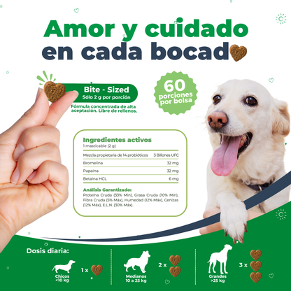 Tabla de dosis diaria e ingredientes activos de Waggy's Belly, destacando su mezcla de 14 probióticos y enzimas digestivas.