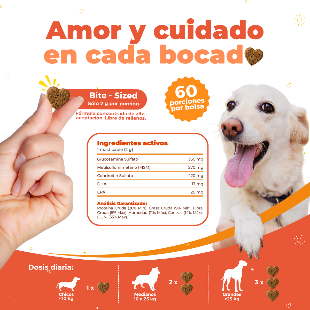 Suplemento Articular para Movilidad y Dolor en Perros | Waggy's Move
