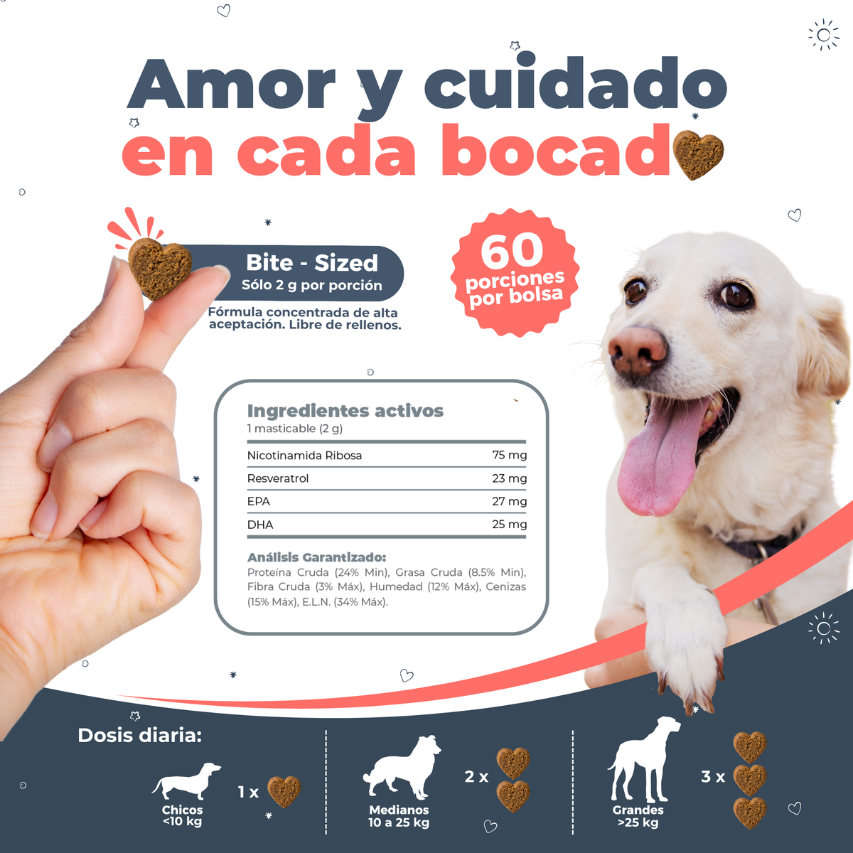 Suplemento Antienvejecimiento y Vitalidad para Perros | Waggy's NAD+