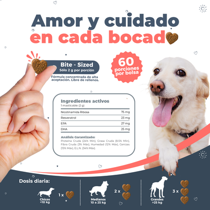 Suplemento Antienvejecimiento y Vitalidad para Perros | Waggy's NAD+