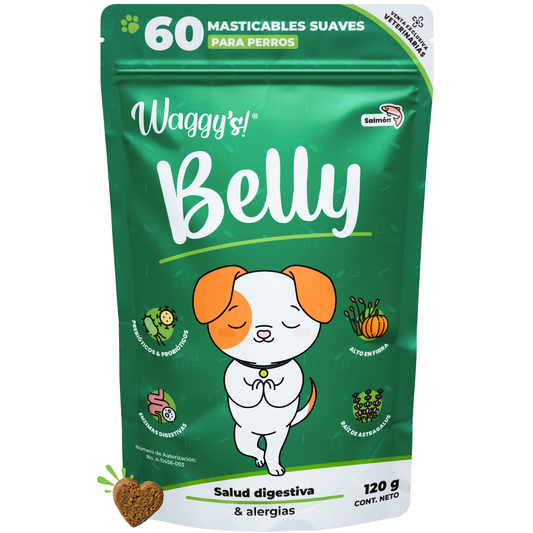 Probióticos para Digestión y Alergias en Perros | Waggy's Belly