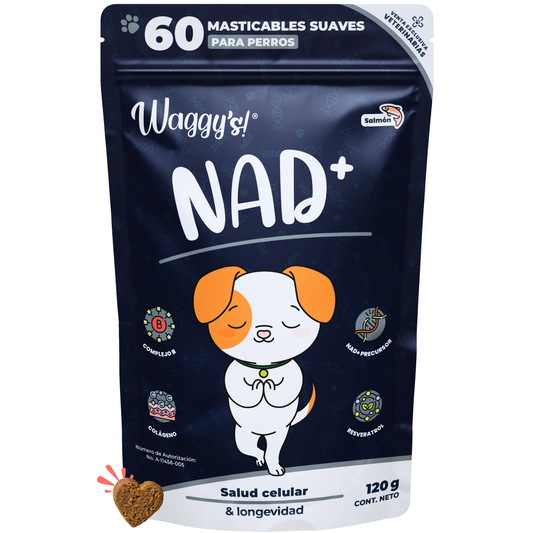 Suplemento Antienvejecimiento y Vitalidad para Perros | Waggy's NAD+
