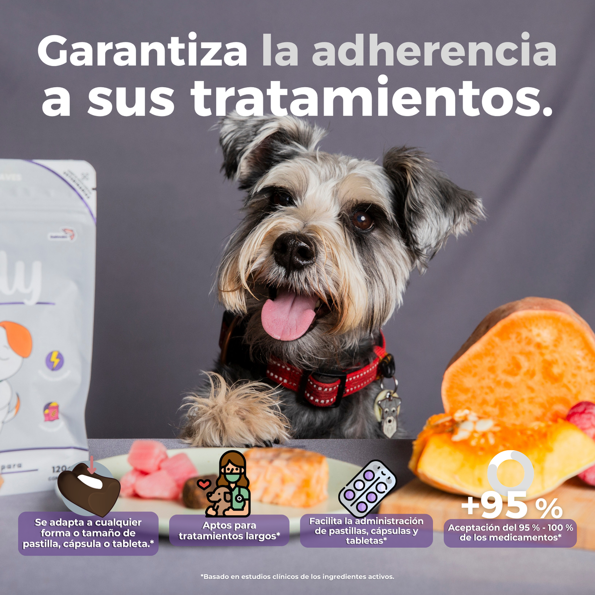 Perro Schnauzer esperando su medicina; Waggy's Pilly se adapta a cualquier tableta o cápsula, garantizando más del 95% de aceptación.
