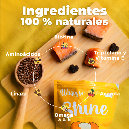 Supplement for Itching and Hair Loss in Dogs | Waggy's Shine