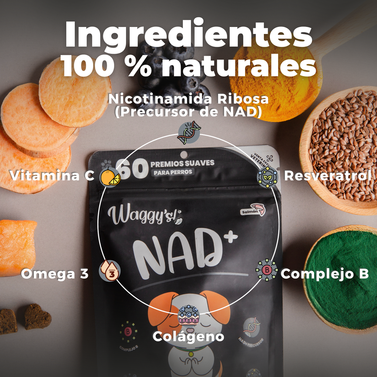 Suplemento Antienvejecimiento y Vitalidad para Perros | Waggy's NAD+