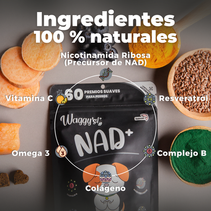 Suplemento Antienvejecimiento y Vitalidad para Perros | Waggy's NAD+
