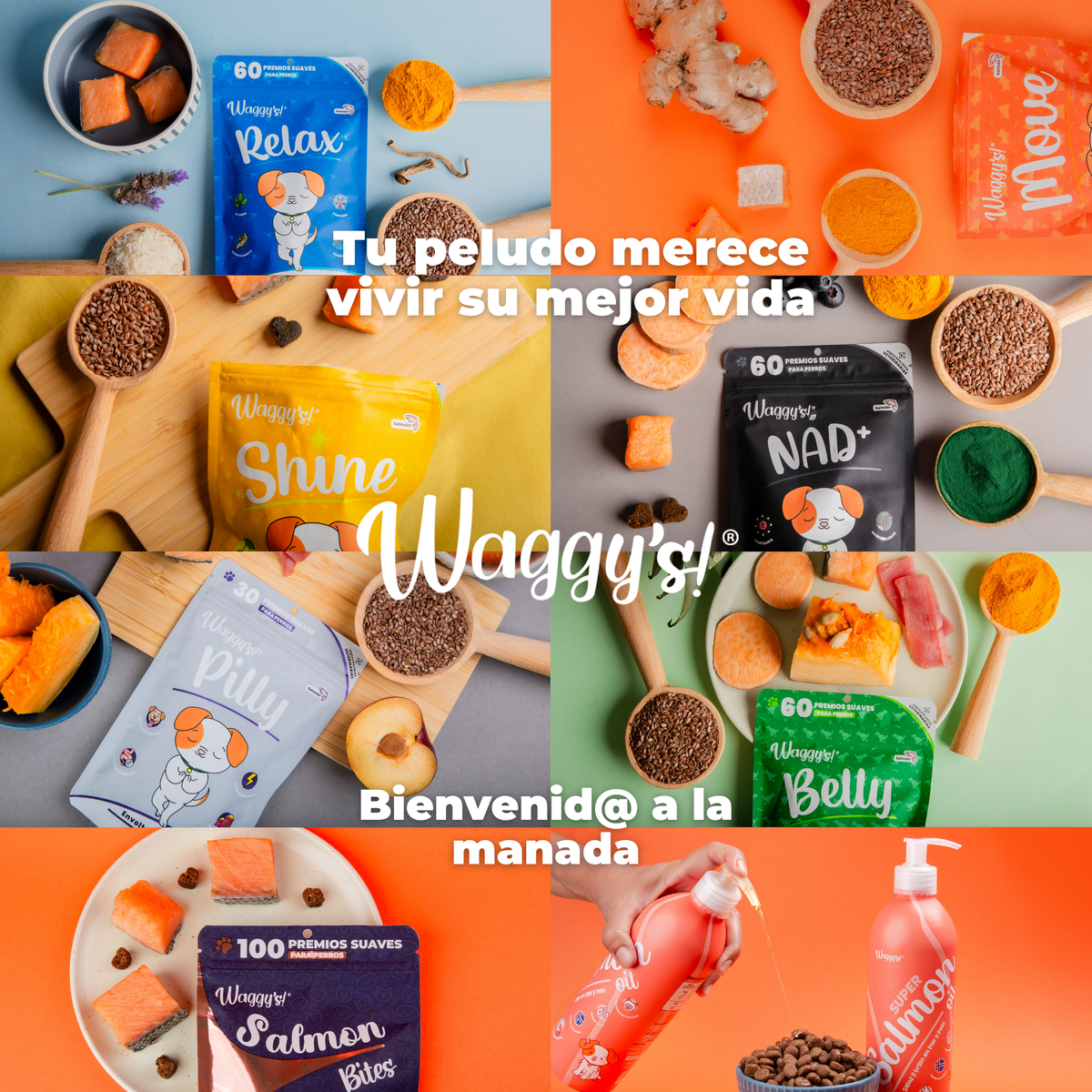 Suplemento Antienvejecimiento y Vitalidad para Perros | Waggy's NAD+