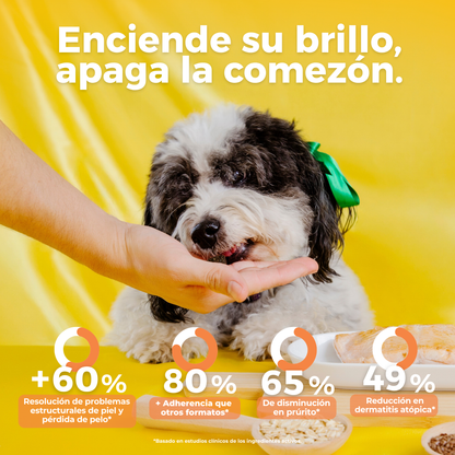 Supplement for Itching and Hair Loss in Dogs | Waggy's Shine