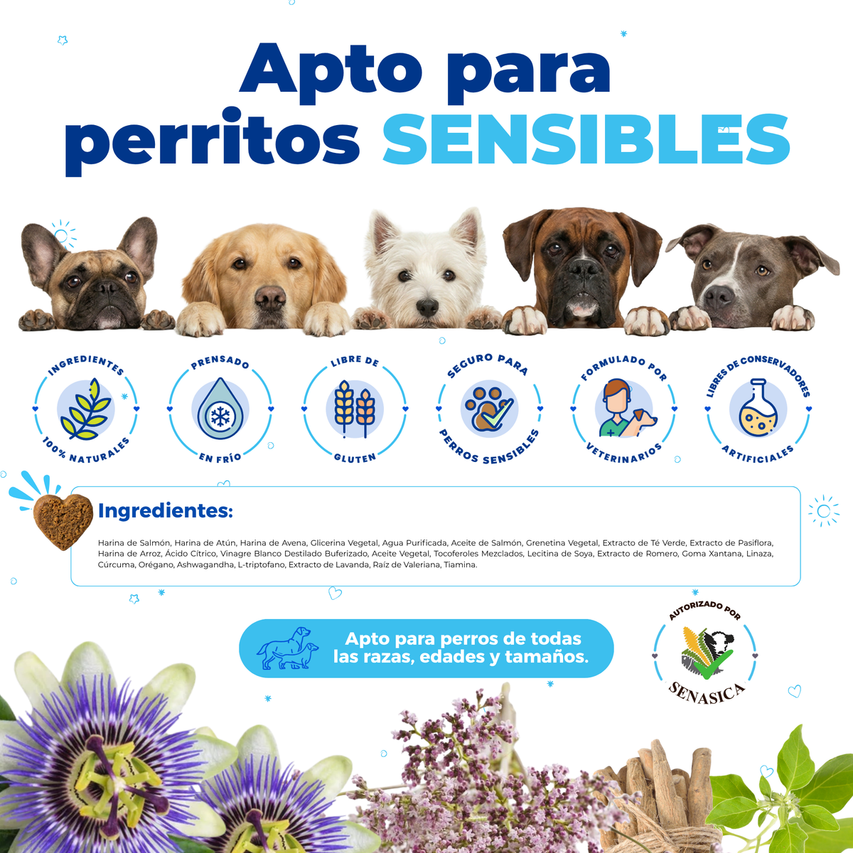 Natural Relaxant for Anxiety and Stress in Dogs | Waggy's Relax