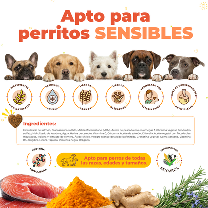 Suplemento Articular para Movilidad y Dolor en Perros | Waggy's Move