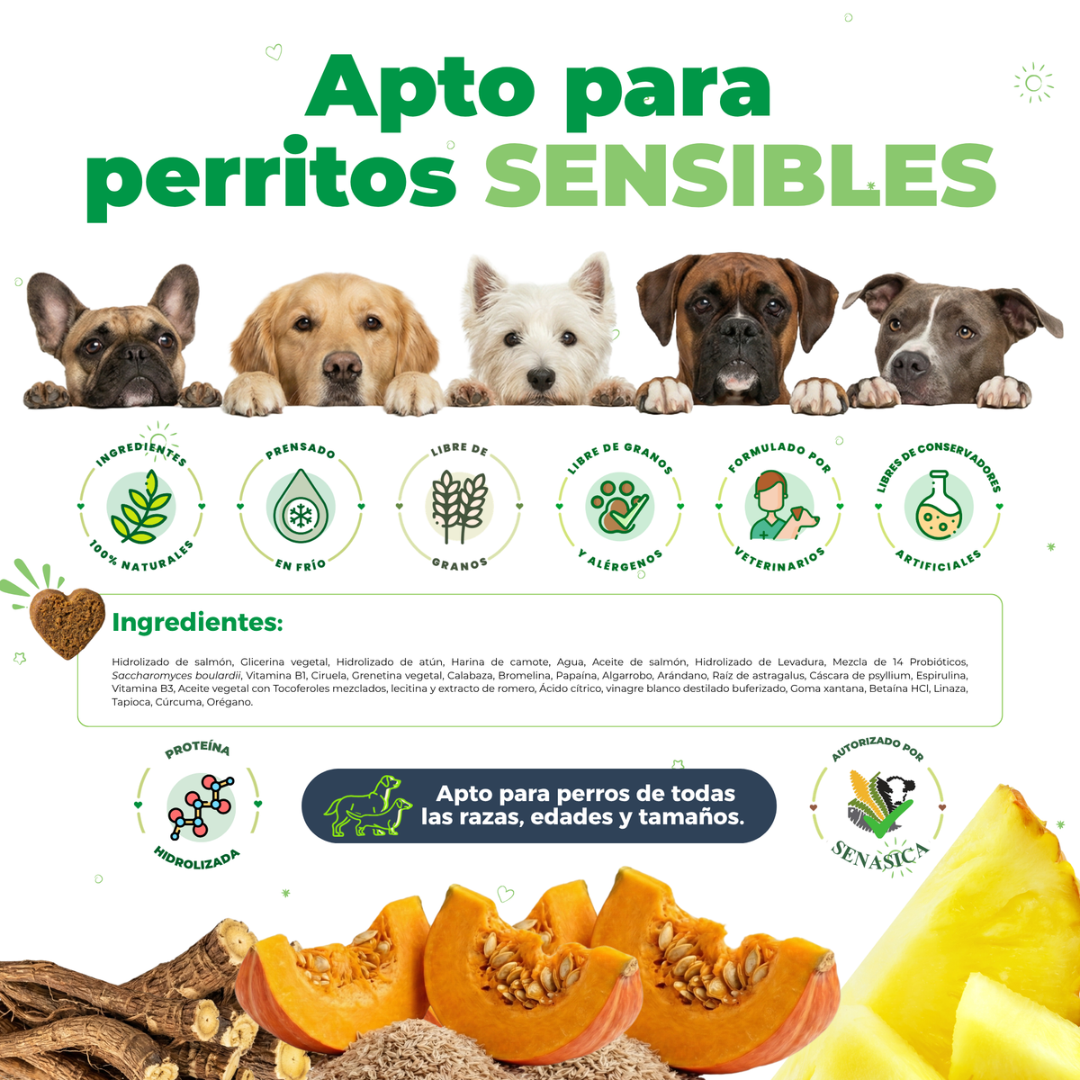 Waggy's Belly es apto para perros con estómagos sensibles, libre de granos, prensado en frío y formulado por veterinarios, autorizado por SENASICA.