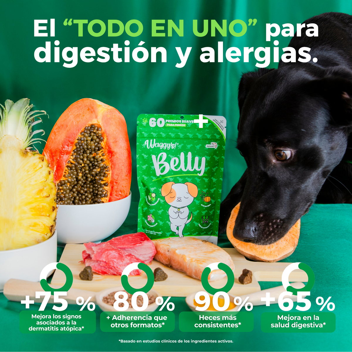 Perro negro junto a masticables Waggy's Belly, que mejoran los signos de dermatitis atópica y logran heces más consistentes.
