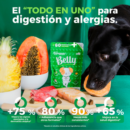 Perro negro junto a masticables Waggy's Belly, que mejoran los signos de dermatitis atópica y logran heces más consistentes.