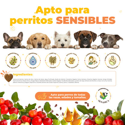 Supplement for Itching and Hair Loss in Dogs | Waggy's Shine