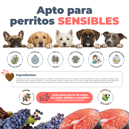 Suplemento Antienvejecimiento y Vitalidad para Perros | Waggy's NAD+
